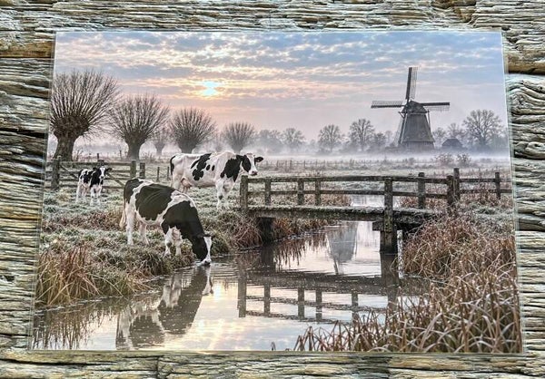Placemat nr 389