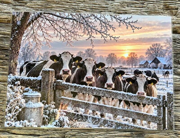Placemat nr 394