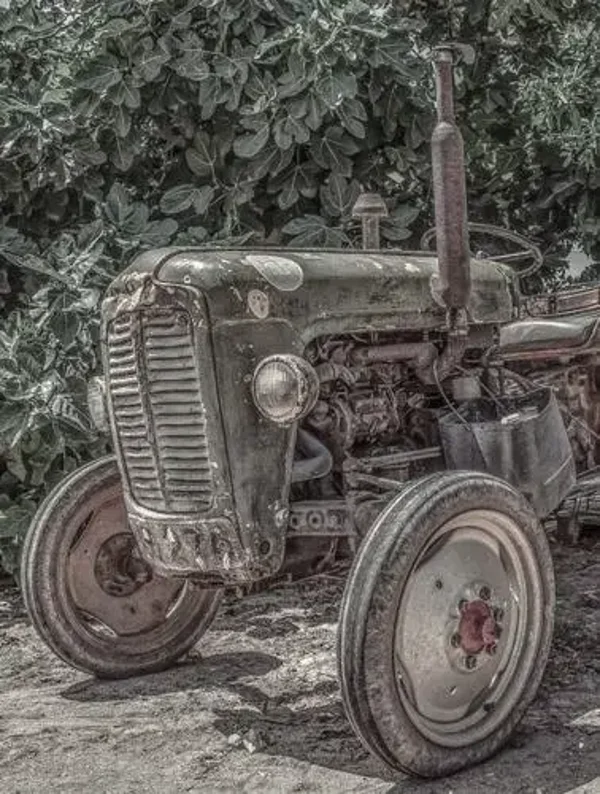 Tuinposter nr395