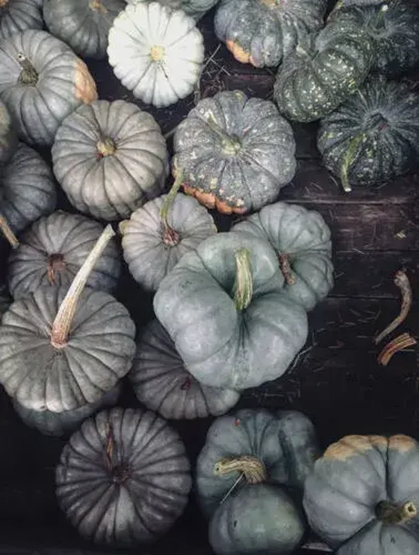 Tuinposter nr401