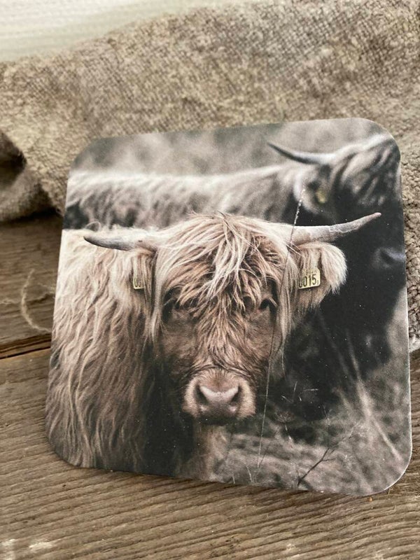 Schotse hooglander kleur