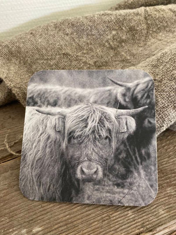 Schotse hooglander nr 6 zwart/wit