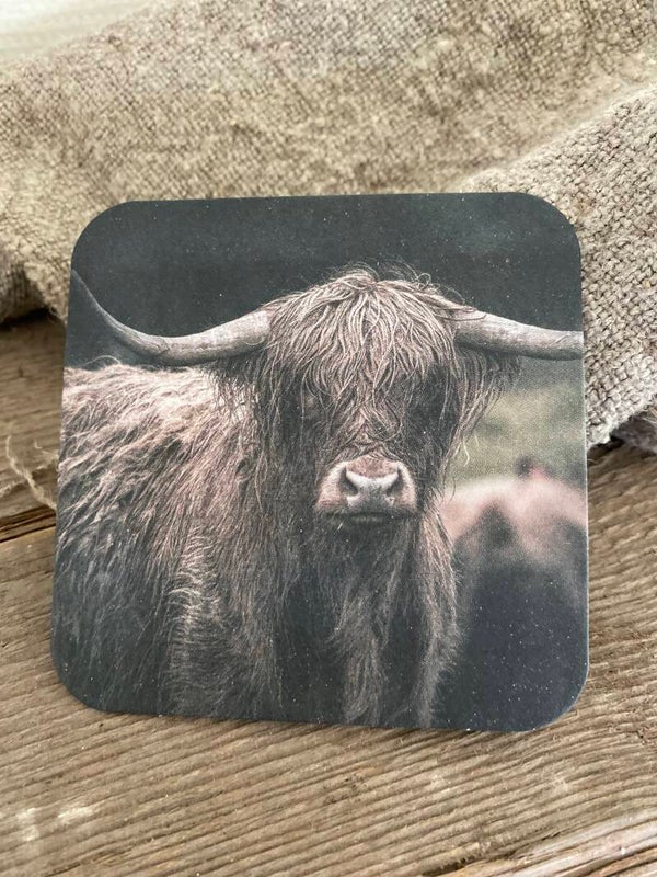 Schotse hooglander nr 7