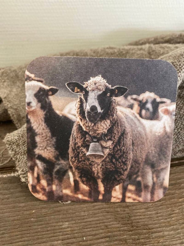 Bonte schapen