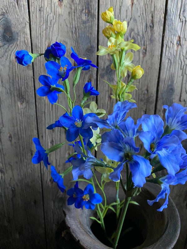 Bruidsbloem blauw
