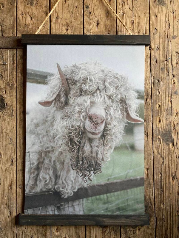 Wanddoek Schaap door het hek