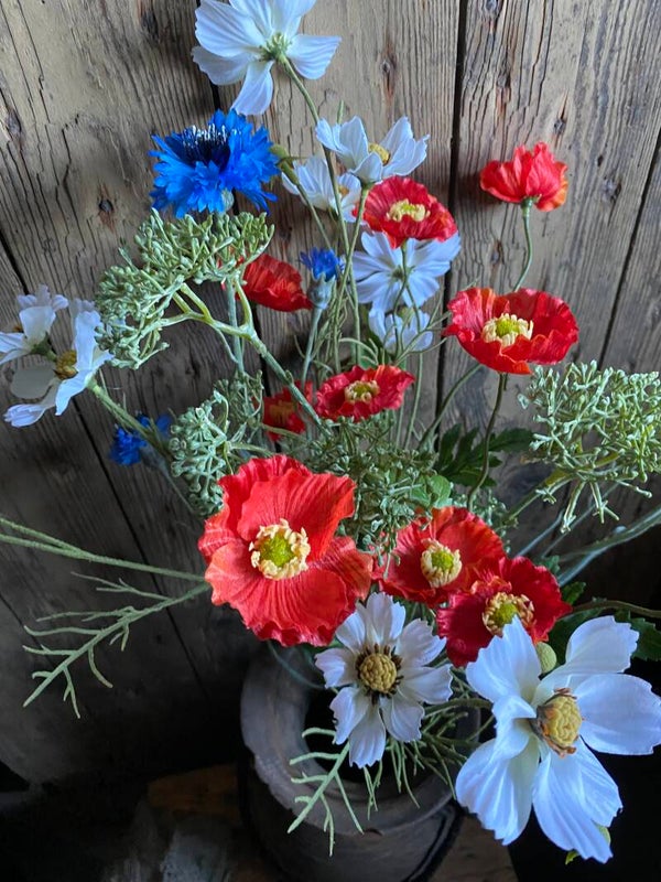 Rode klaproos, 5 bloemen