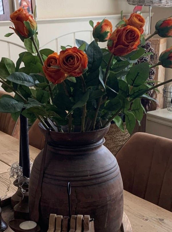 Oranje roos