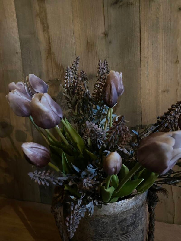 Salie dark Mauve/lavendel