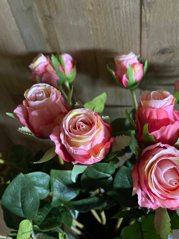 Gemêleerd licht roze roos