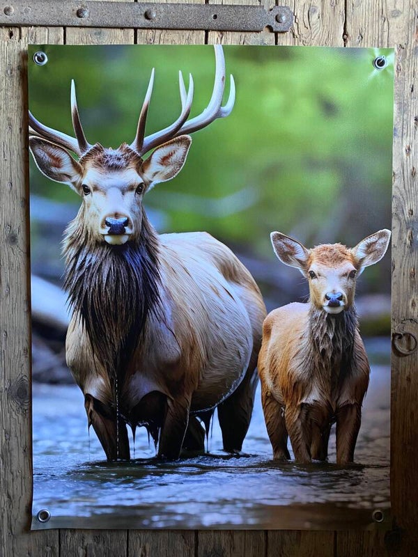 Tuinposter nr426