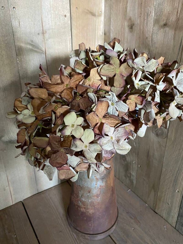 Tak gedroogde hortensia