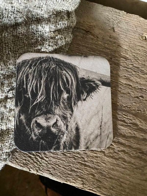 Schotse hooglander zwart wit