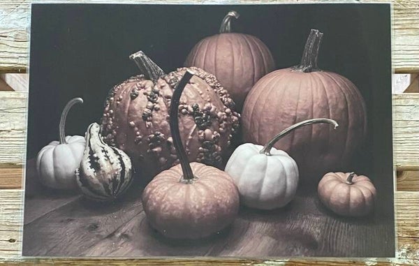 Placemat pompoenen nr 159