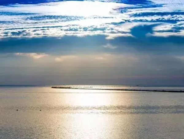 Tuinposter zonsondergang nr249