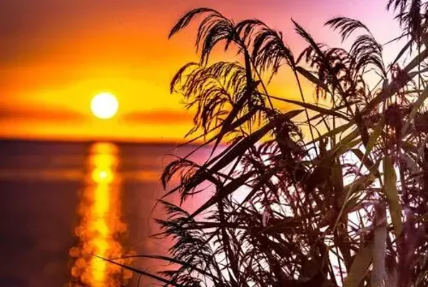 Plaid/ Fleecedeken nr80