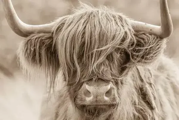 Plaid/ Fleecedeken nr 69