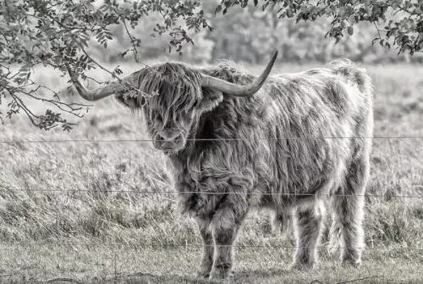 Plaid/ Fleecedeken nr 66