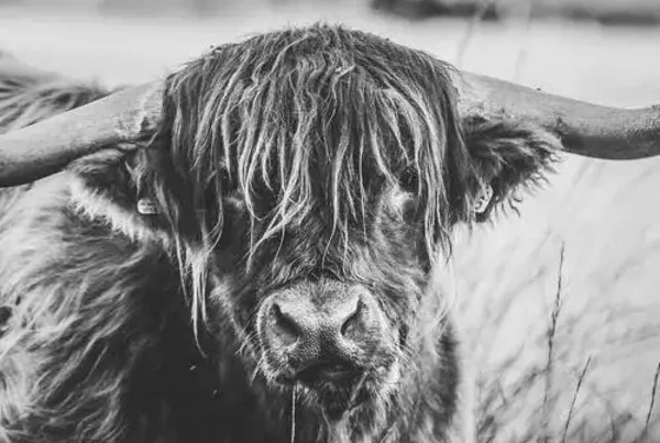 Plaid/ Fleecedeken nr47