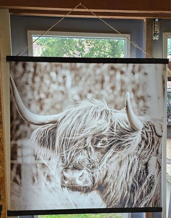 Wanddoek sepia Schotse hooglander nr 2