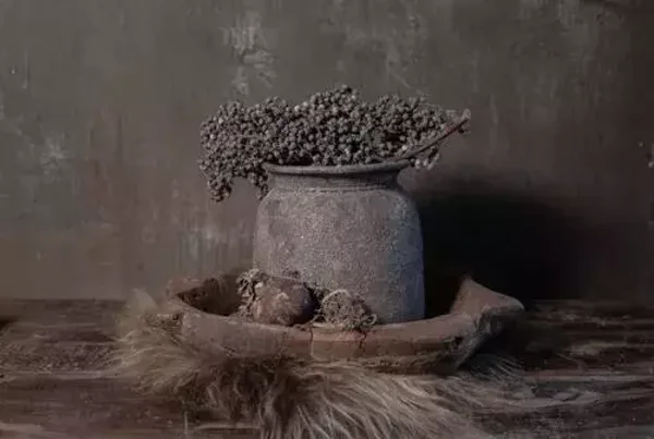 Tuinposter pot met dadeltak