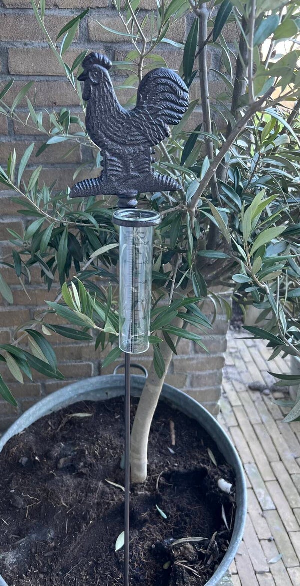 Gietijzeren Regenmeter haan