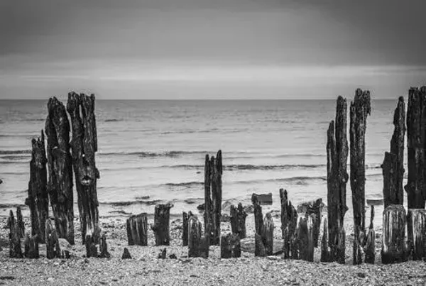 Strand zwart/wit nr 79