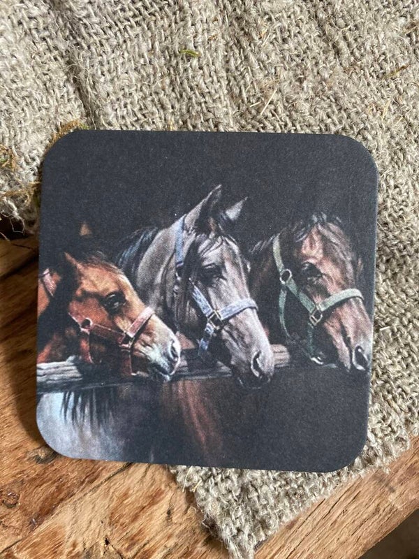 Paarden