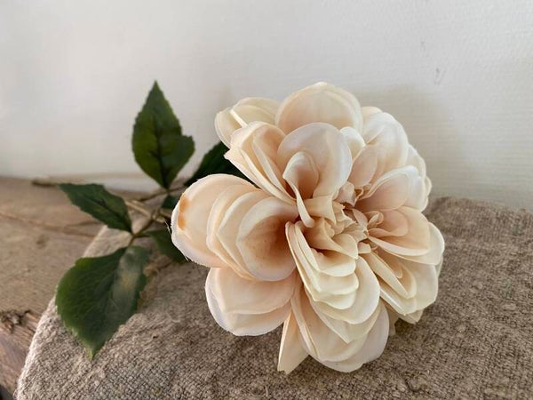 Dahlia creme wit