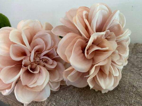 Dahlia zalmkleurig