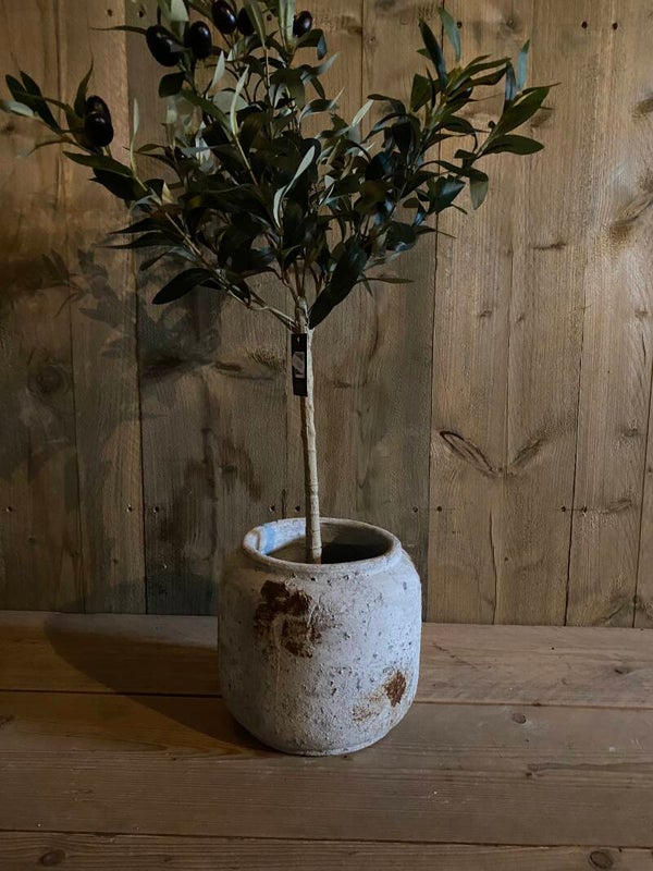 Kleinere lichtere meridiaanse pot