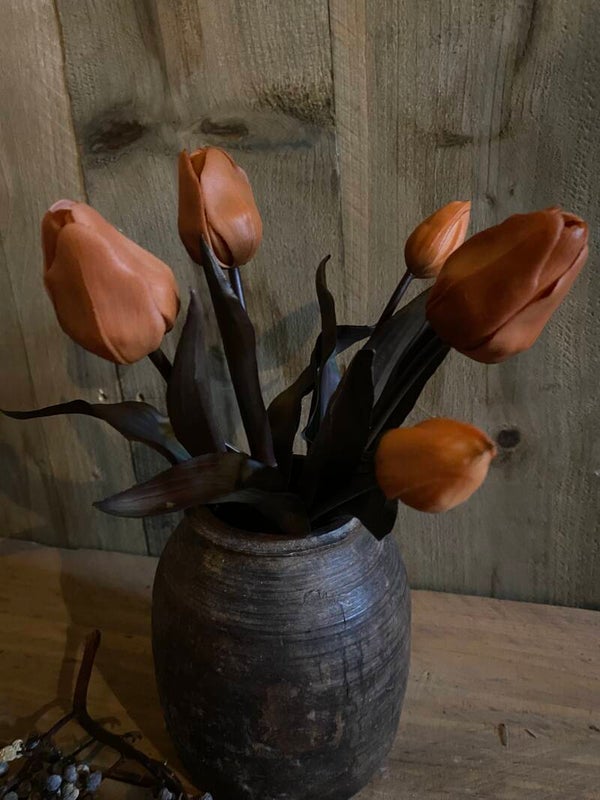 Oranje klein bosje tulpen met sobere kleur blad en steel