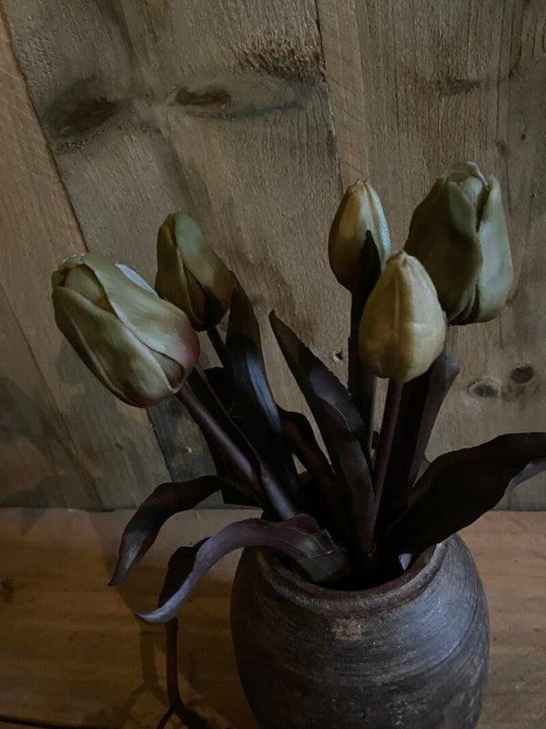 Olijfgroene klein bosje tulpen met sobere kleur blad en steel