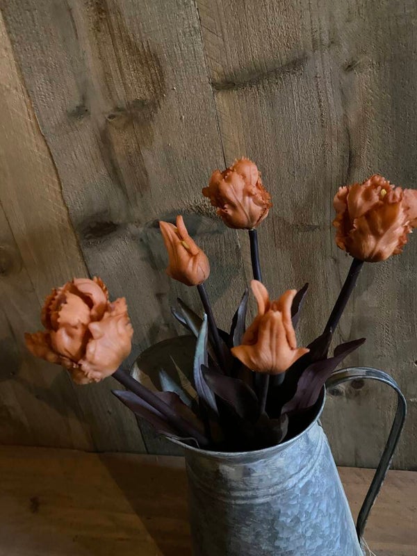 Oranje papegaaitulpen met sobere kleur blad en steel