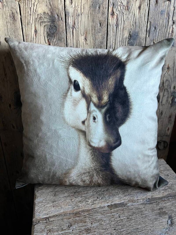 Velvet kussen met prachtige print eendje