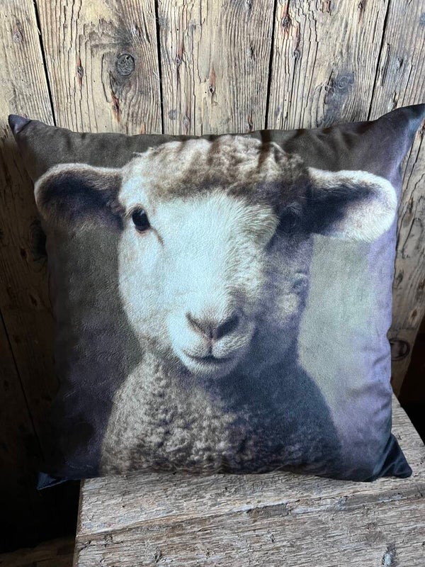 Velvet kussen met prachtige print lammetje