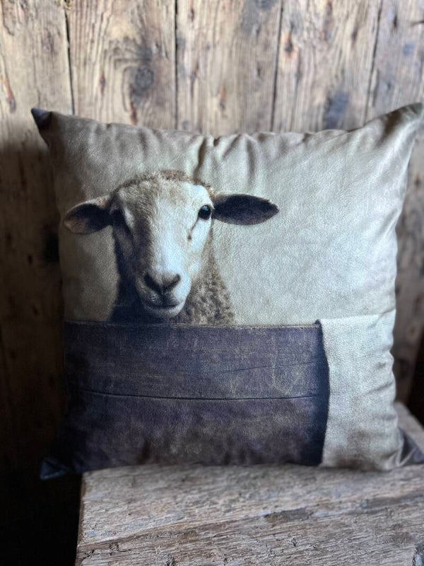 Velvet kussen met prachtige print schaap