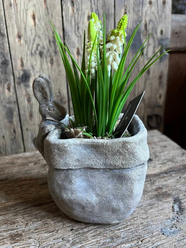 Haas bloempotje