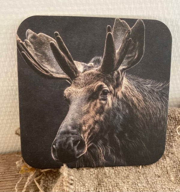 Eland