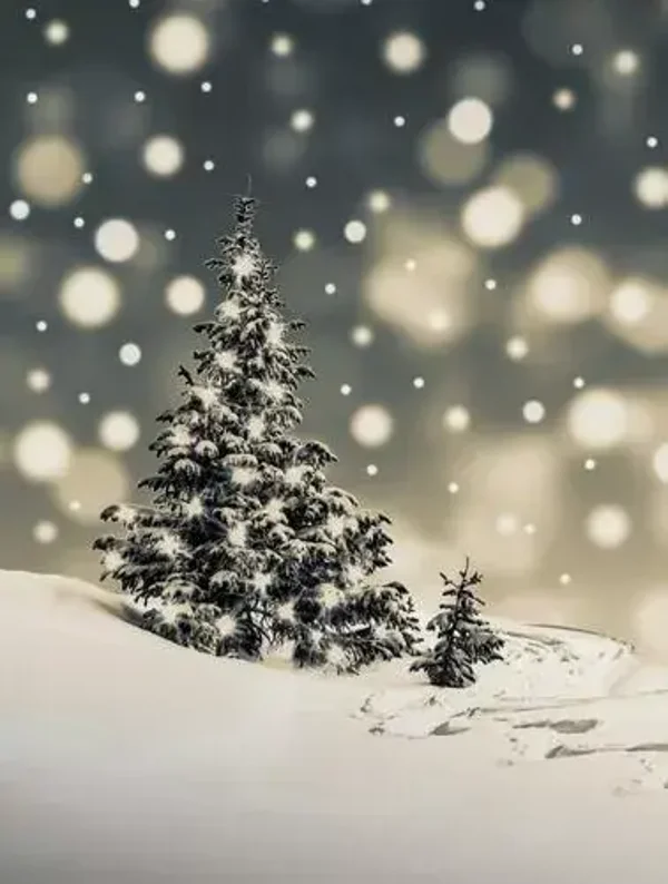 Tuinposter kerstboom