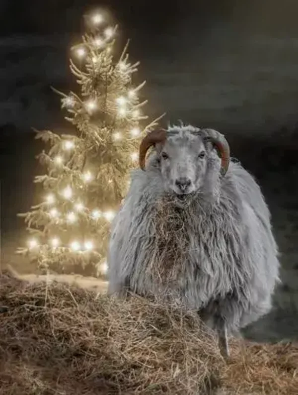 Tuinposter schaap bij de kerstboom