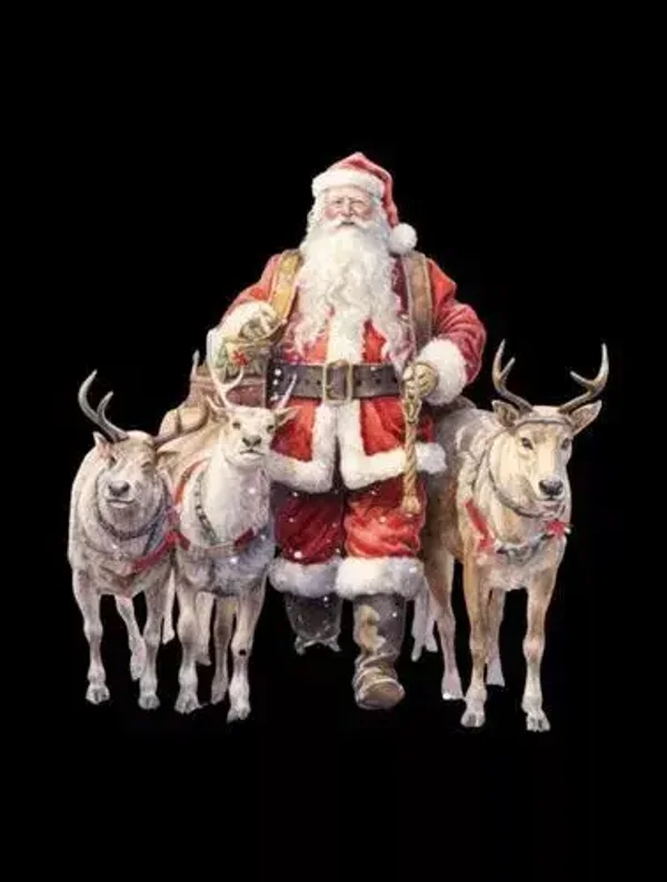 Tuinposter zwart kerstman  nr2