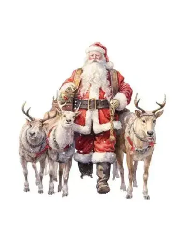 Tuinposter kerstman  nr2