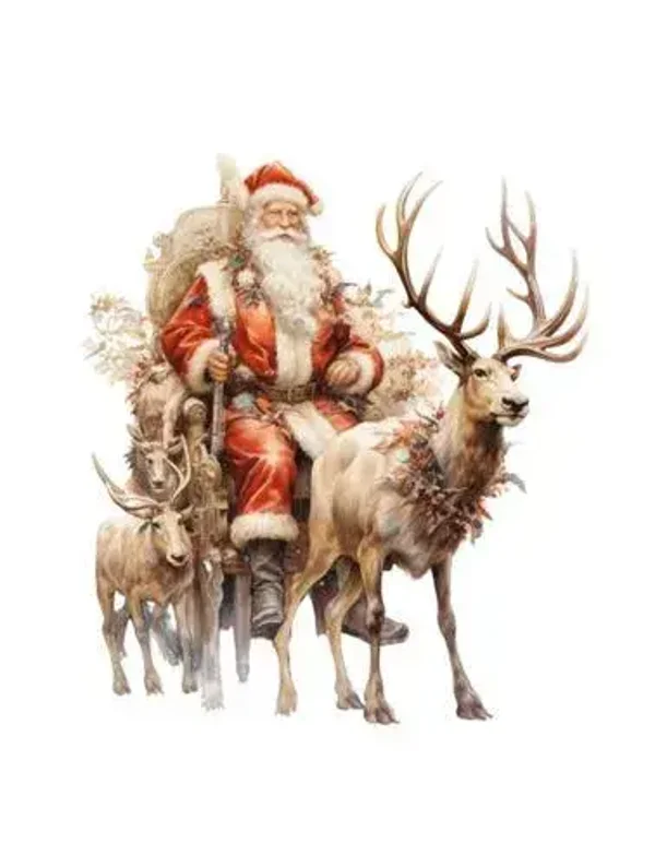 Tuinposter kerstman  nr3