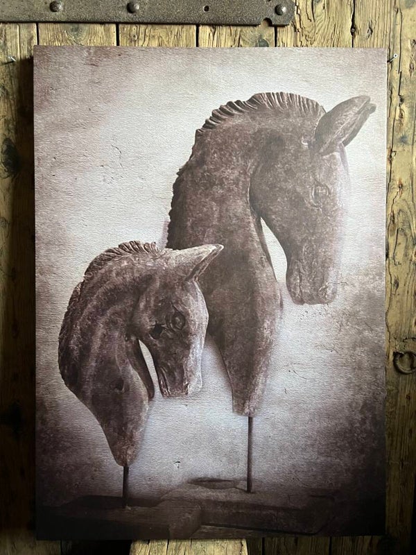 Canvas paardenbeelden