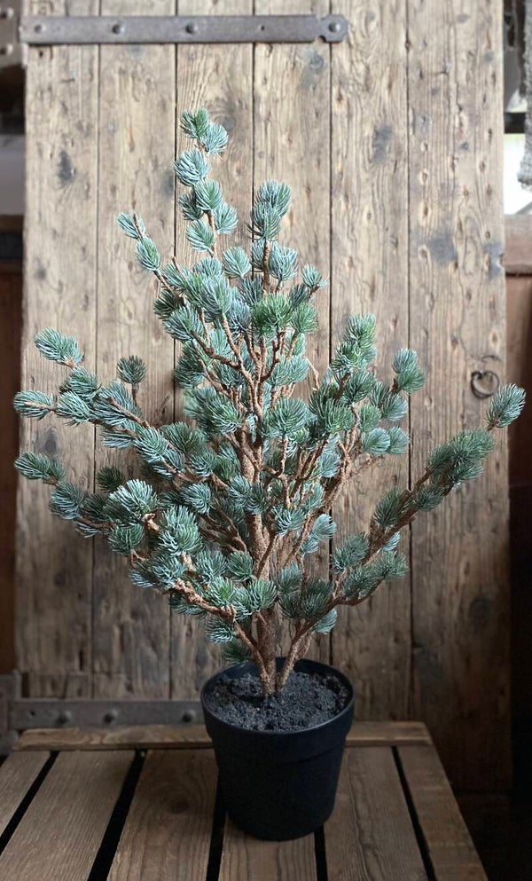 Brynxz Larix boompje, maat S