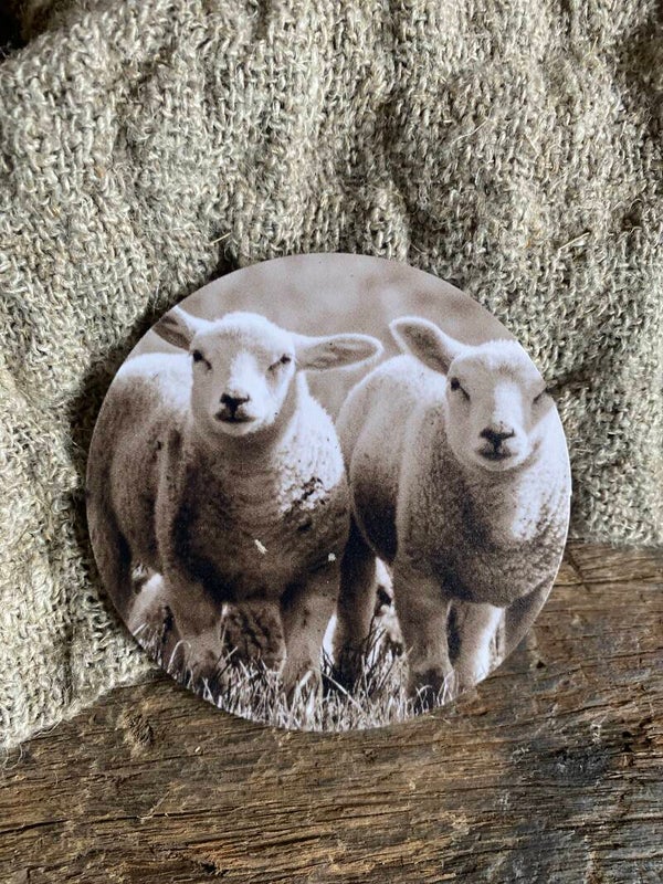 Ronde viltje schapen