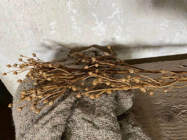 Lijnzaadbolletjes tak