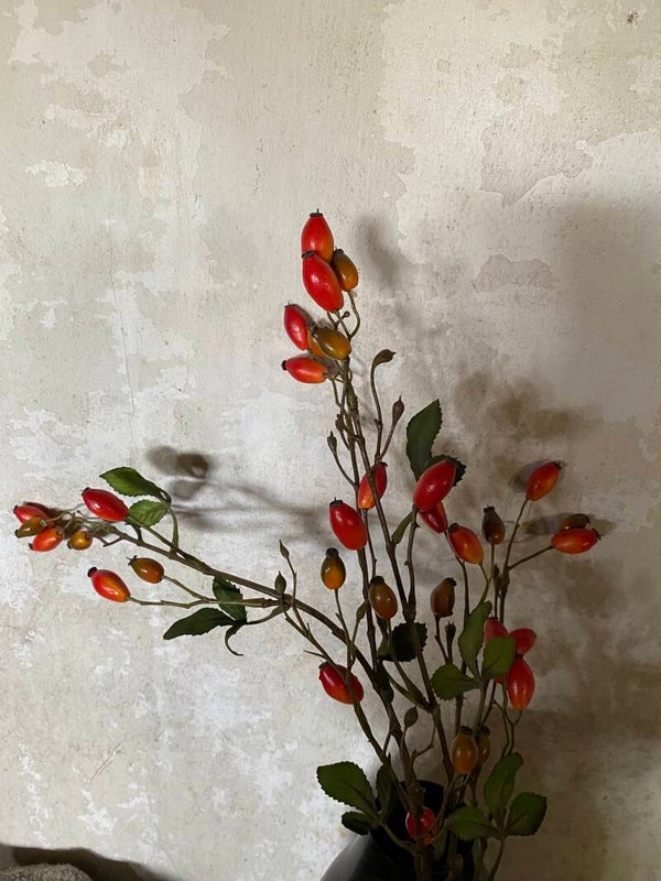 Kleine hondsbotteltak met blad