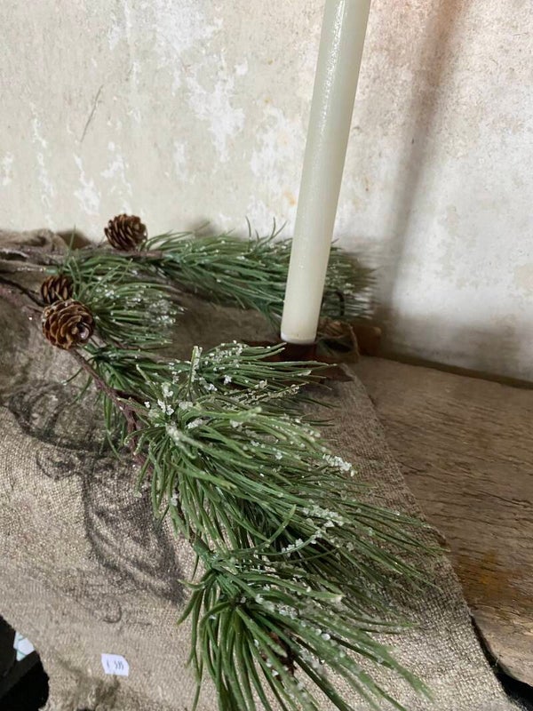 Dennetak pinus frosted